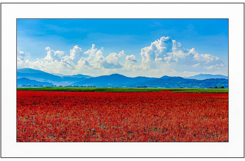   | PHOTO BY : 삿갓/정봉식  |