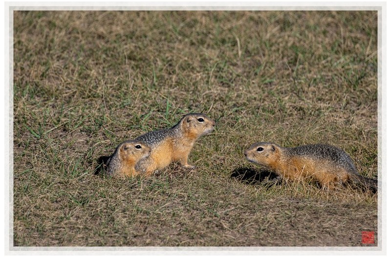 PHOTO BY  | NIKON Z 9  | 2024:08:11 10:17:57  | ISO-360 | 1/2500 sec | f 5.6 | 300 mm | EV=0 | ● WIDTH:1500 pixels  HEIGHT:999 pixels