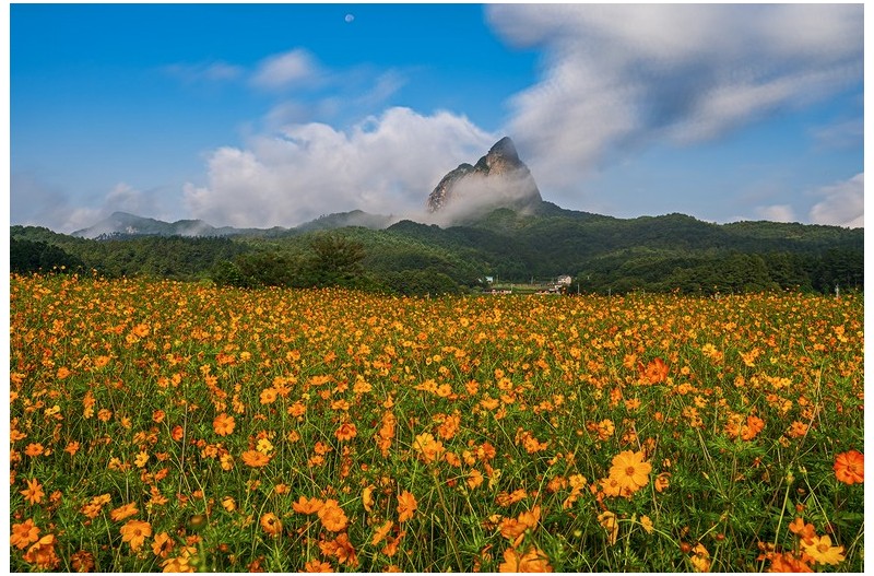 PHOTO BY  | NIKON Z 6_2  | 2024:08:23 08:03:45  | ISO-200 | 1/320 sec | f 11 | 35 mm | EV=0 | ● WIDTH:1500 pixels  HEIGHT:1000 pixels