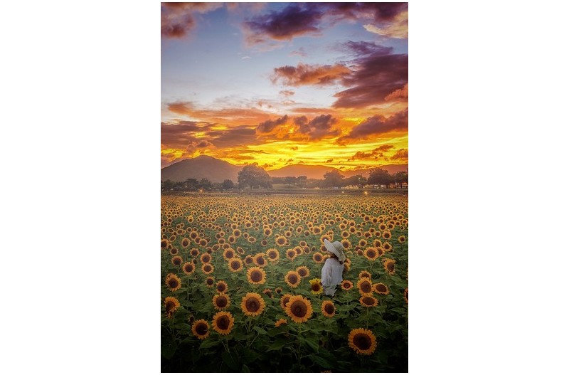   | PHOTO BY :   |