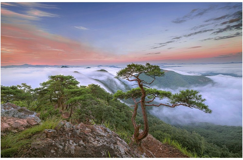 PHOTO BY  | NIKON Z 7_2  | 2024:08:06 05:46:59  | ISO-100 | 1/5 sec | f 11 | 14 mm | EV=0 | ● WIDTH:1631 pixels  HEIGHT:1052 pixels