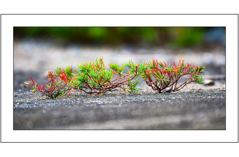   | PHOTO BY :   |