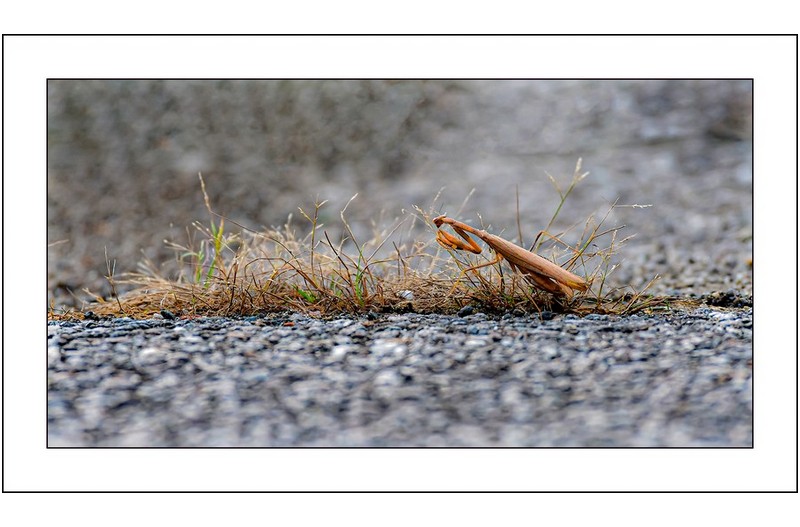   | PHOTO BY :   |