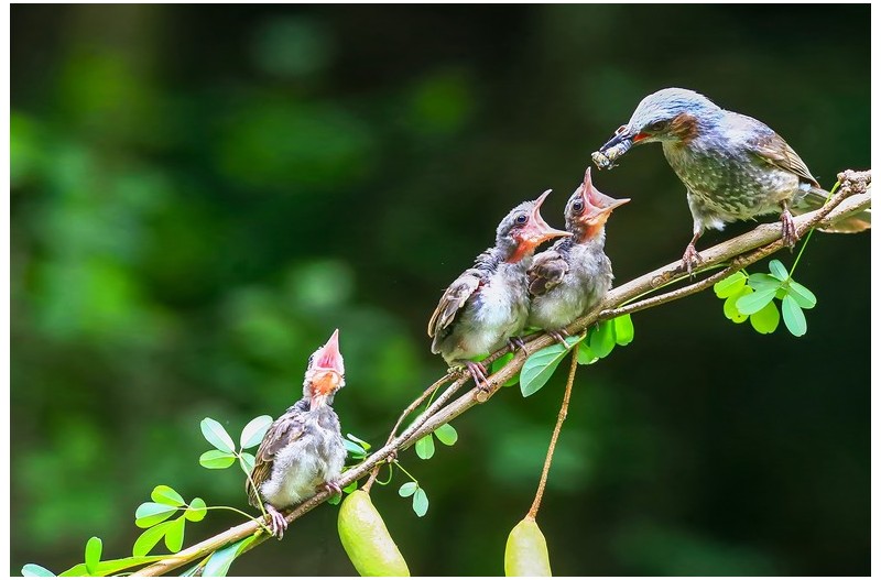 PHOTO BY ChoiJunqSeop  | Canon EOS-1D X Mark II  | 2024:08:14 07:25:21  | ISO-800 | 1/400 sec | f 6.3 | 300 mm | EV=0 | ● WIDTH:1800 pixels  HEIGHT:1200 pixels