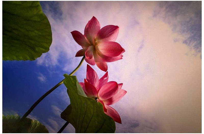  | PHOTO BY :   |