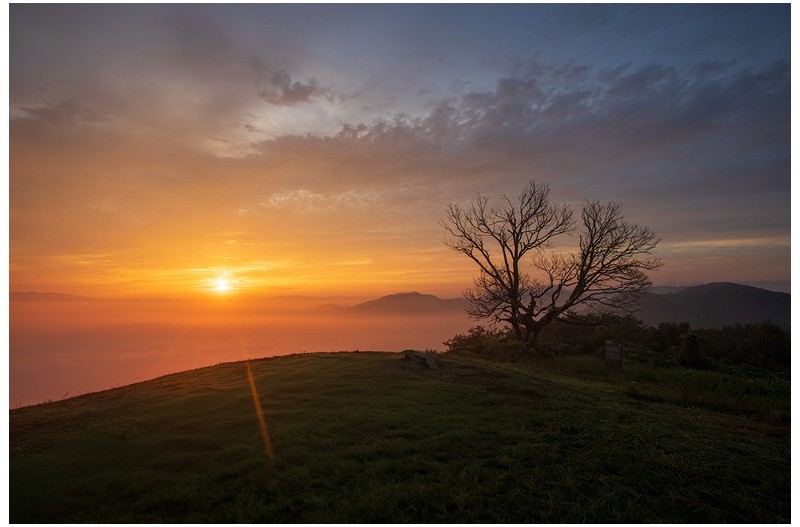 PHOTO BY  | Canon EOS 5D Mark IV  | 2024:08:27 06:07:11  | ISO-250 | 1/160 sec | f 8 | 16 mm | EV=0 | ● WIDTH:1400 pixels  HEIGHT:933 pixels