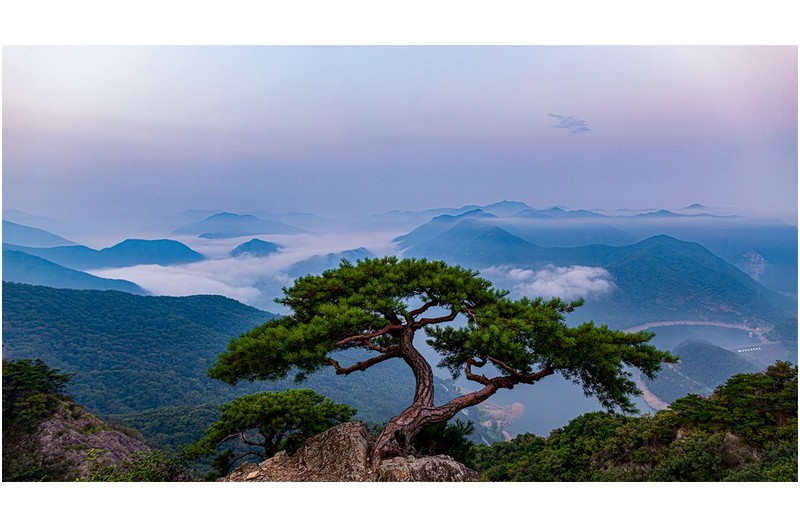 PHOTO BY  | Canon EOS 5D Mark IV  | 2024:08:25 05:54:36  | ISO-200 | 1/25 sec | f 3.2 | 24 mm | EV=0 | ● WIDTH:1600 pixels  HEIGHT:878 pixels