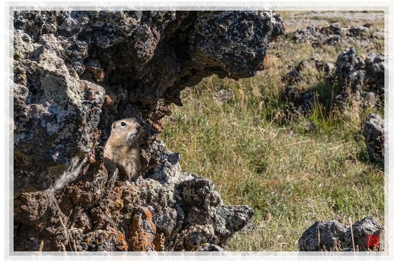 PHOTO BY  | NIKON Z 9  | 2024:08:11 10:50:56  | ISO-200 | 1/160 sec | f 13 | 100 mm | EV=0 | ● WIDTH:1500 pixels  HEIGHT:999 pixels