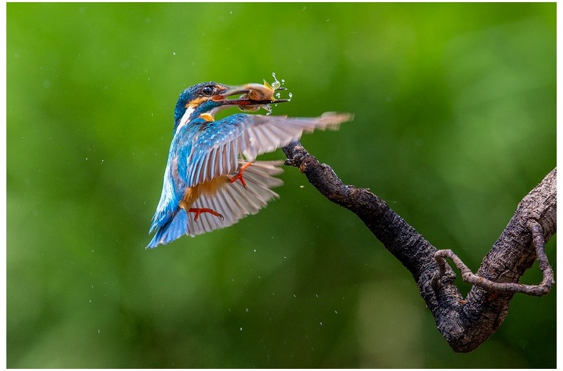PHOTO BY  |           Canon Canon  |  | ISO- |  |  |  | EV=0 | ● WIDTH:  HEIGHT: