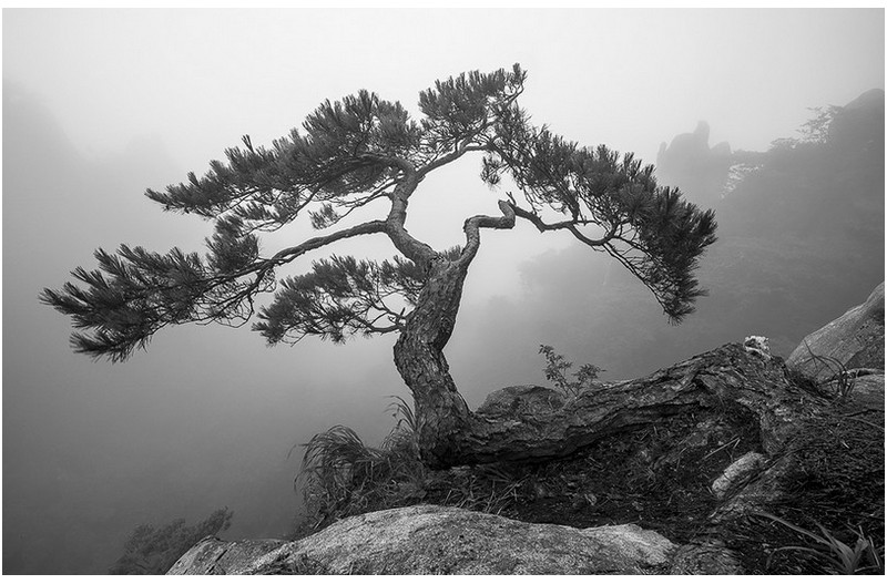 PHOTO BY  | NIKON D850  | 2024:08:26 06:00:31  | ISO-64 | 1/1 sec |  |  | EV=-1 | ● WIDTH:1400 pixels  HEIGHT:900 pixels