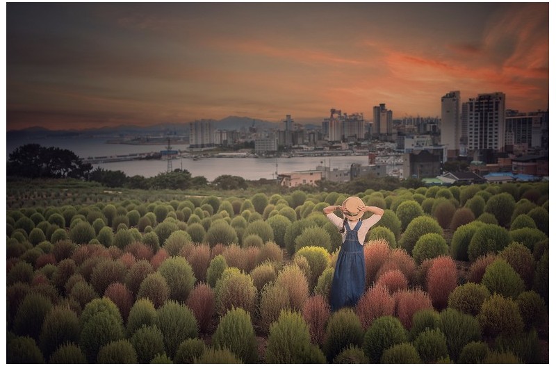   | PHOTO BY :   |