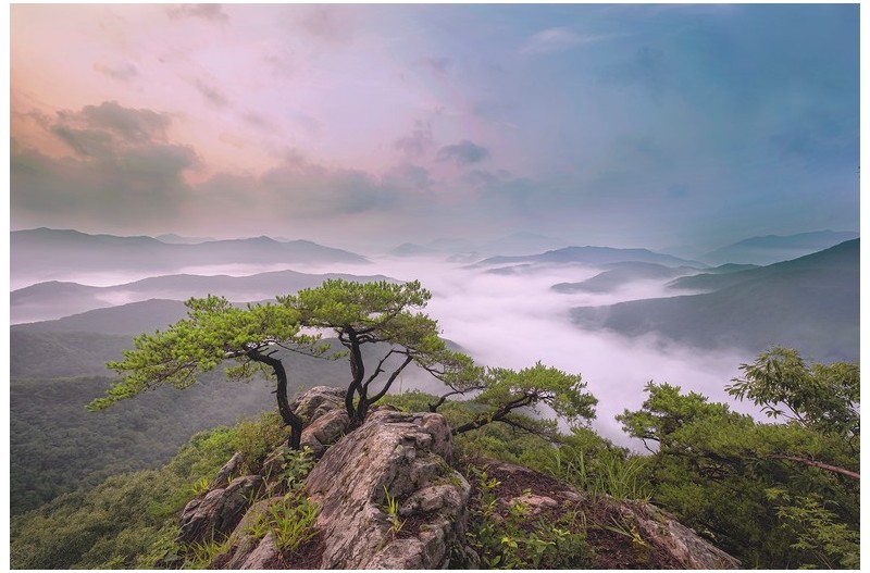 PHOTO BY  | NIKON Z 7_2  | 2024:07:13 05:55:41  | ISO-100 | 1/20 sec | f 11 | 14 mm | EV=0 | ● WIDTH:1700 pixels  HEIGHT:1133 pixels