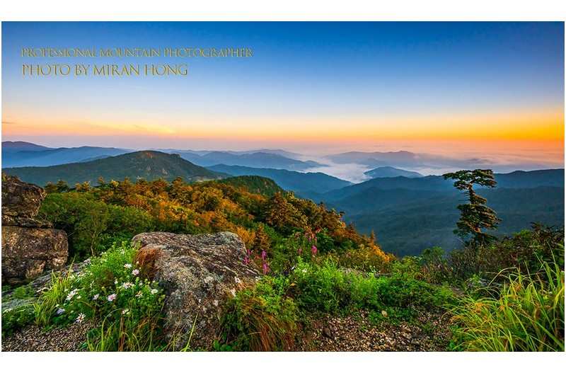 PHOTO BY HONG_MI_RAN  | NIKON Z 8  | 2024:08:18 05:57:47  | ISO-400 | 1/80 sec | f 11 | 14 mm | EV=-0.3 | ● WIDTH:1366 pixels  HEIGHT:801 pixels