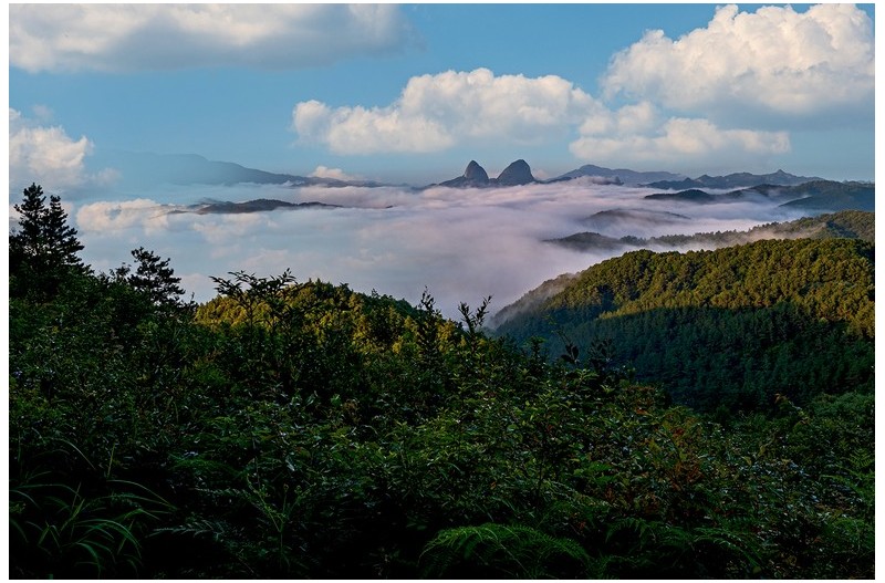 PHOTO BY  | NIKON Z 6_2  | 2024:08:19 06:24:55  | ISO-200 | 1/30 sec | f 16 | 26 mm | EV=-0.3 | ● WIDTH:1500 pixels  HEIGHT:998 pixels