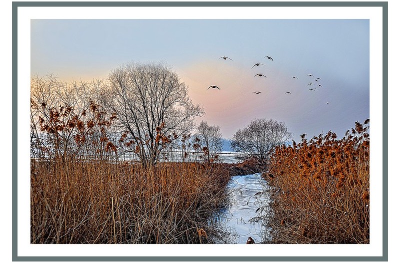 PHOTO BY  | NIKON D700  | 2009:01:17 16:41:44  | ISO-500 | 1/500 sec | f 9 | 42 mm | EV=0 | ● WIDTH:1300 pixels  HEIGHT:901 pixels