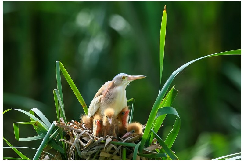 PHOTO BY HNalim  | Canon EOS 7D Mark II  | 2024:06:22 13:39:31  | ISO-100 | 1/500 sec | f 4.5 | 100 mm | EV=0 | ● WIDTH:1800 pixels  HEIGHT:1200 pixels