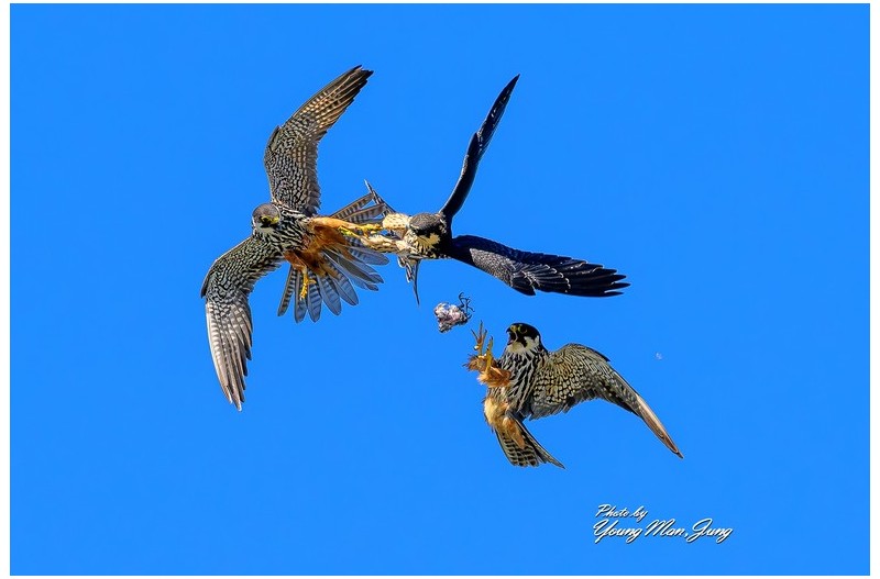  | PHOTO BY :   |