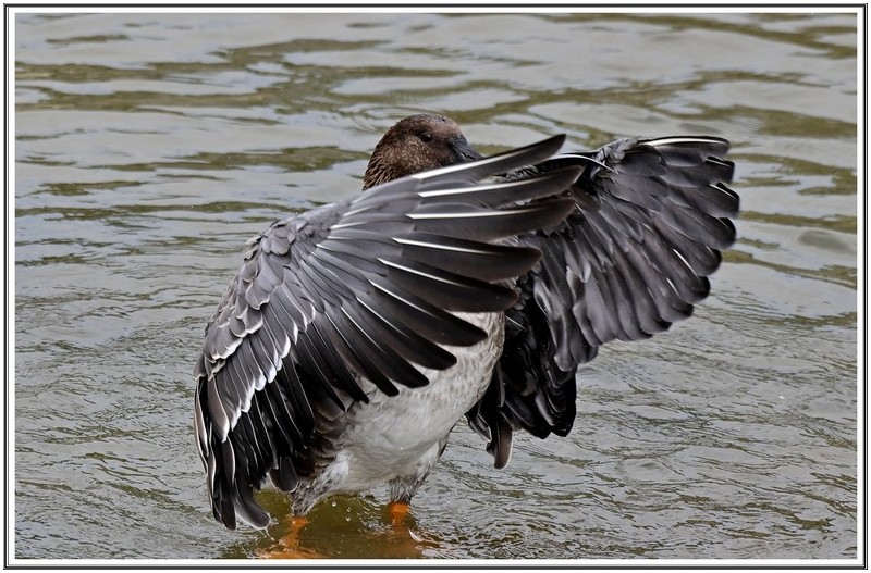 PHOTO BY                                       | NIKON Z 7_2  | 2024:09:09 11:16:07  | ISO-400 | 1/1600 sec | f 5.6 | 270 mm | EV=0.3 | ● WIDTH:5408 pixels  HEIGHT:3600 pixels