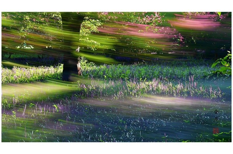 PHOTO BY Hamwuel Baek                          | NIKON D5  | 2024:08:13 07:36:24  | ISO-100 | 7692307/100000000 sec | f 11 | 66 mm | EV=0 | ● WIDTH:4878 pixels  HEIGHT:2757 pixels