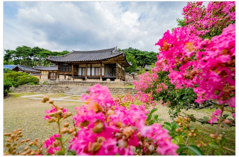 PHOTO BY  | ILCE-7RM4  | 2024:07:25 11:15:44  | ISO-100 | 1/50 sec | f 10 | 15 mm | EV=0 | ● WIDTH:1707 pixels  HEIGHT:1140 pixels