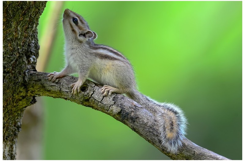 PHOTO BY HNalim  | Canon EOS 7D Mark II  | 2024:06:22 13:40:14  | ISO-100 | 1/500 sec | f 4.5 | 100 mm | EV=0 | ● WIDTH:1800 pixels  HEIGHT:1200 pixels