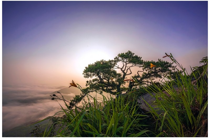 PHOTO BY  | NIKON Z 7_2  | 2024:08:09 06:47:22  | ISO-100 | 1/1600 sec | f 11 | 14 mm | EV=0 | ● WIDTH:1700 pixels  HEIGHT:1129 pixels