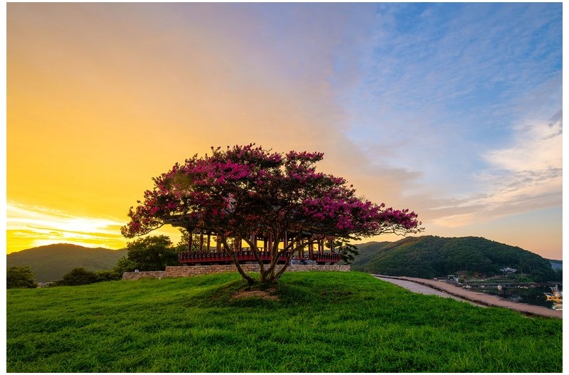 PHOTO BY  | NIKON D850  | 2024:08:06 19:00:54  | ISO-100 | 1/50 sec | f 9 | 19 mm | EV=0 | ● WIDTH:1700 pixels  HEIGHT:1133 pixels