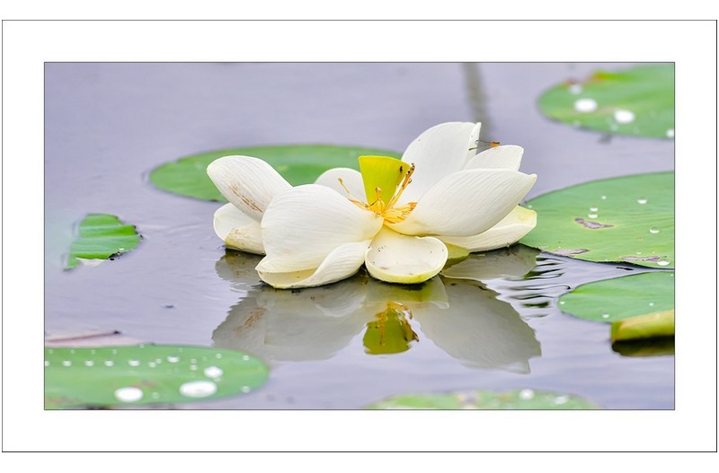   | PHOTO BY :   |
