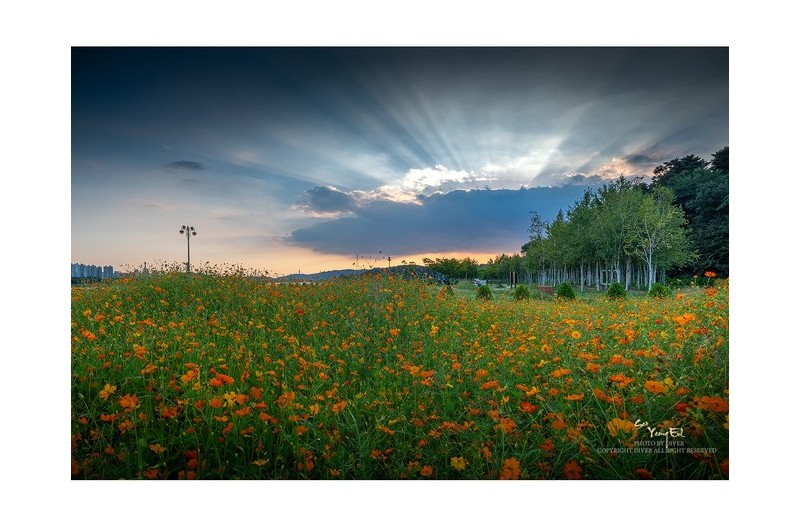 PHOTO BY  | GFX50S II  | 2024:09:04 18:13:40  | ISO-200 | 1/30 sec | f 32 | 23 mm | EV=0 | ● WIDTH:1600 pixels  HEIGHT:1266 pixels