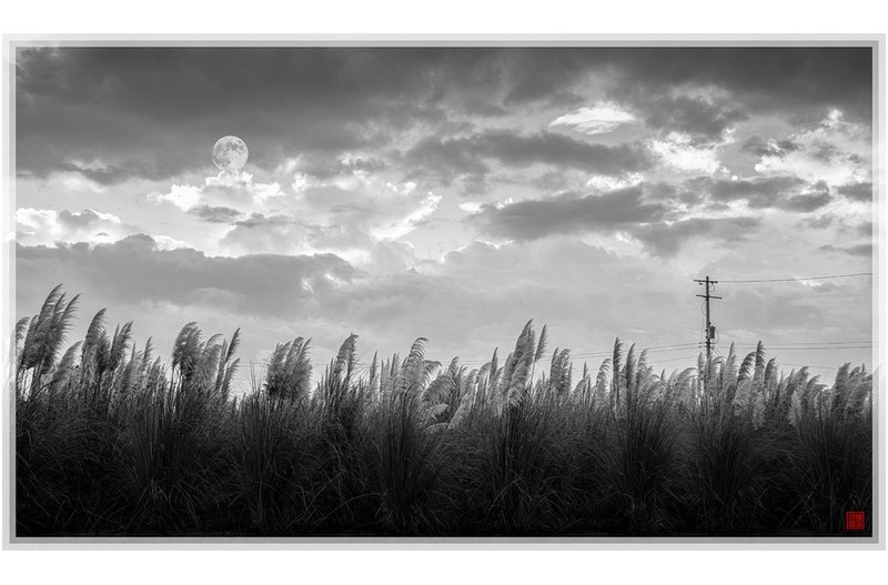 PHOTO BY  | NIKON D850  | 2024:09:15 06:23:29  | ISO-200 | 1/15 sec | f 11 | 38 mm | EV=-2.3 | ● WIDTH:1800 pixels  HEIGHT:1054 pixels