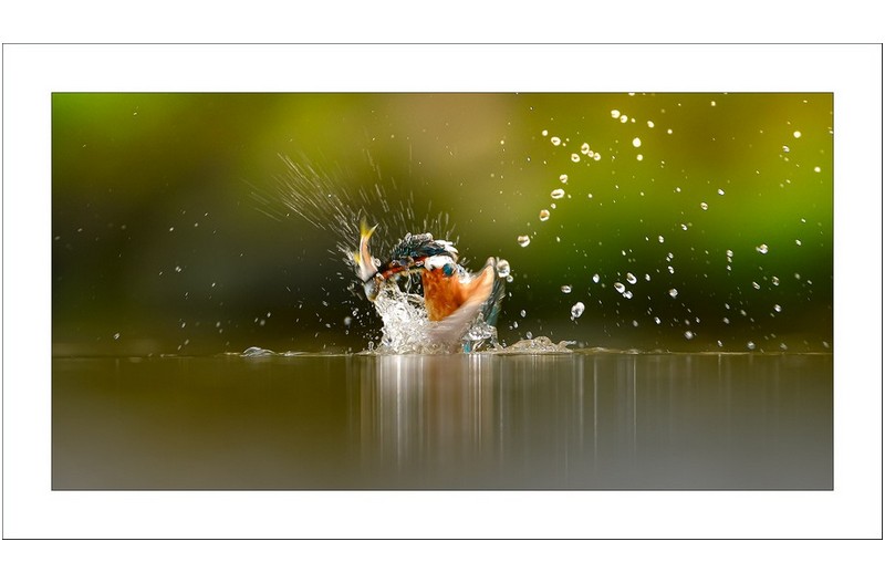   | PHOTO BY :   |