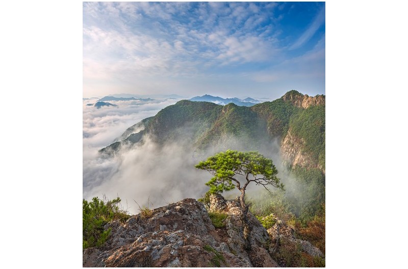 PHOTO BY  | NIKON Z 7_2  | 2024:09:13 07:39:24  | ISO-100 | 1/160 sec | f 11 | 14 mm | EV=0 | ● WIDTH:1400 pixels  HEIGHT:1532 pixels