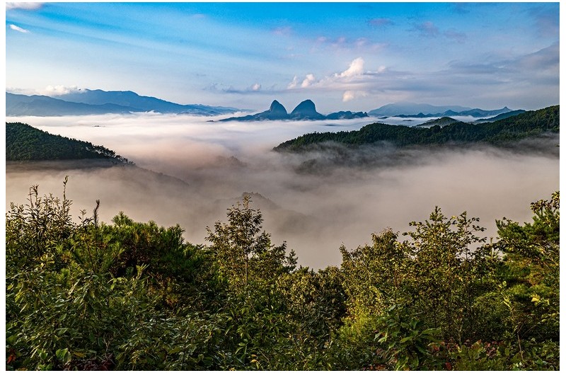 PHOTO BY  | NIKON Z 6_2  | 2024:09:18 07:11:34  | ISO-200 | 1/125 sec | f 11 | 37 mm | EV=-0.3 | ● WIDTH:1500 pixels  HEIGHT:998 pixels