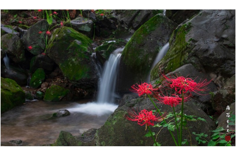 PHOTO BY  | Canon EOS 5D Mark IV  | 2023:09:16 06:14:23  | ISO-1000 | 16/10 sec | f 9 | 42 mm | EV=0 | ● WIDTH:1800 pixels  HEIGHT:1046 pixels