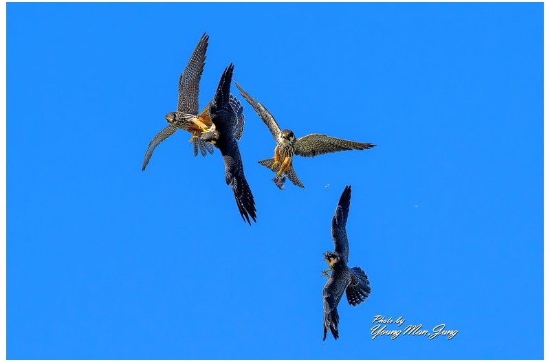   | PHOTO BY :   |