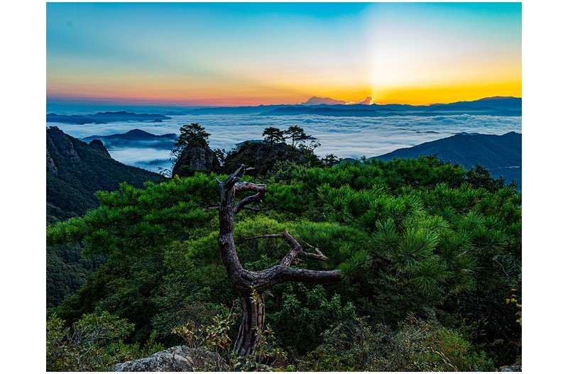 PHOTO BY  | Canon EOS 5D Mark IV  | 2024:09:15 06:17:13  | ISO-100 | 1/25 sec | f 6.3 | 24 mm | EV=0 | ● WIDTH:1400 pixels  HEIGHT:1089 pixels