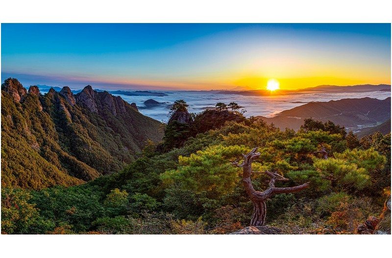 PHOTO BY  | Canon EOS 5D Mark IV  | 2024:09:15 06:23:10  | ISO-100 | 1/100 sec | f 5.6 | 24 mm | EV=0 | ● WIDTH:1600 pixels  HEIGHT:867 pixels