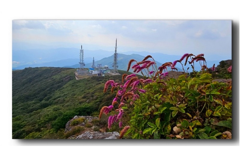   | PHOTO BY :   |