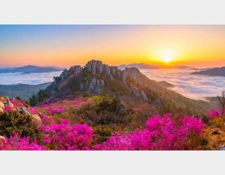 재미나이의 보정- 샤픈을 넣었더니...