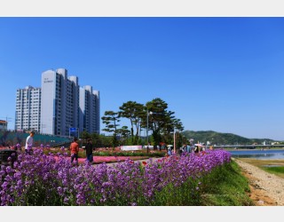 영천 생태공원에서 ...