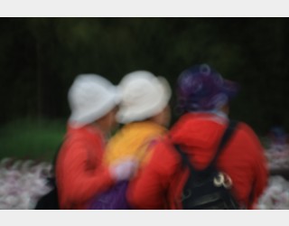 울산 태화강 국가정원 에서 ...