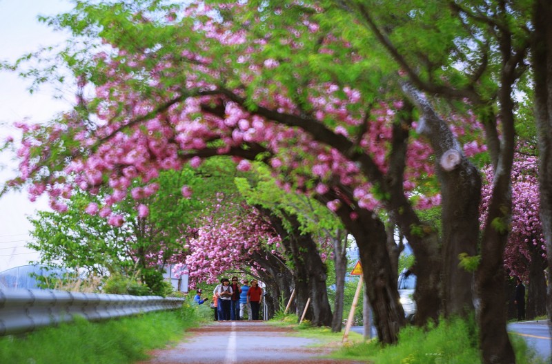 봄날에 ..