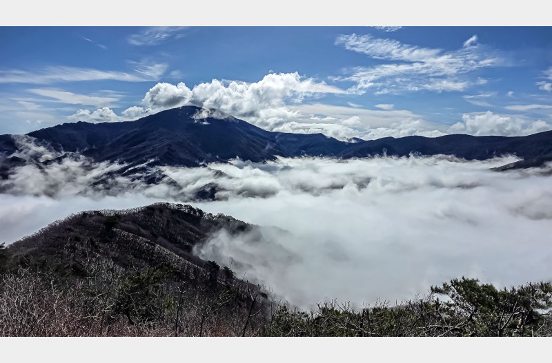 지리산의 봄은 이제부터 시작입니다.