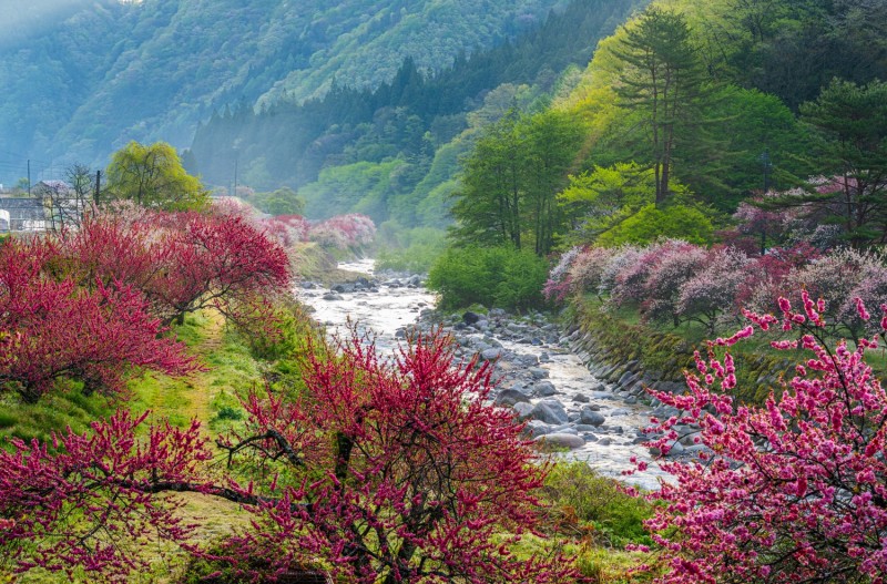아름다운  산골