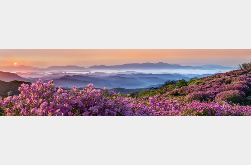 황매산