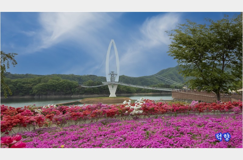 붕어섬출렁다리