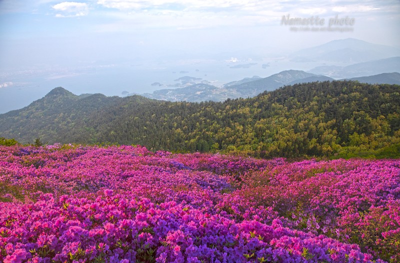 망운산