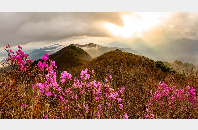 지리산 고리봉