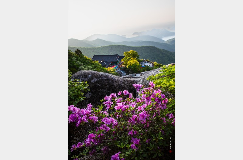 보리암의 봄