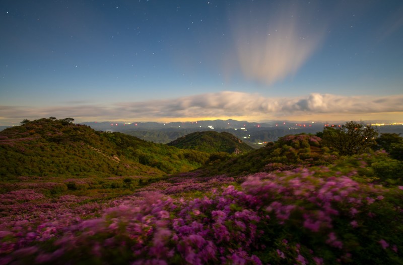 황매산